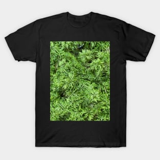 Green Moss Nature Forest T-Shirt
